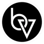Brand Vision logo
